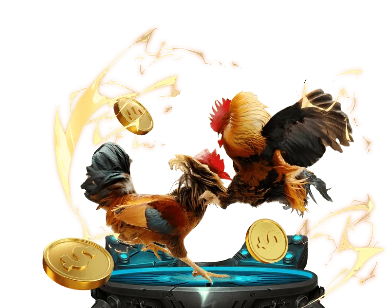 Khuyến mãi đá gà hấp dẫn